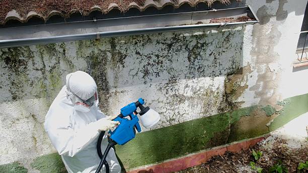 Top rated local Crawl Space Mold Removal specialists in Bartlett, TN